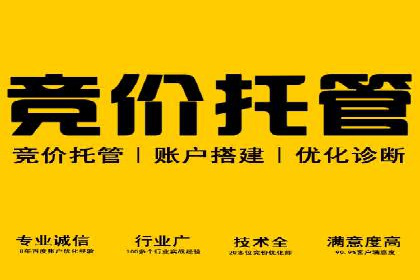 百度推广代运营案例：案例分享：打造行业领军品牌
